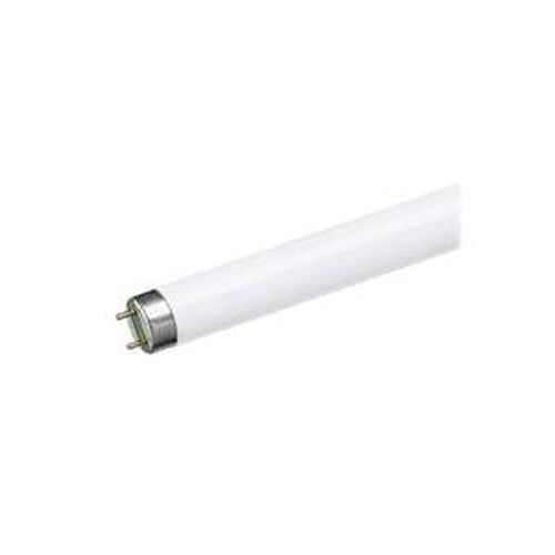 TUBO FLUORESCENTE 36W 6400K ECONOMICO HOMEPLUSS