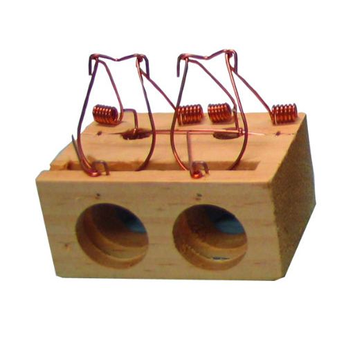 RATONERA AGUJEROS MADERA 2