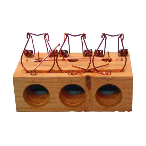 RATONERA AGUJEROS MADERA 3