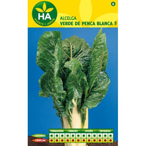 SEMILLAS ACELGA VERDE PENCA BLANCA