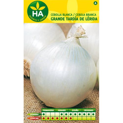 SEMILLAS CEBOLLA GRANDE TARDIA SOBRE