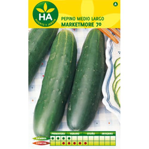 SEMILLAS PEPINO MARKETMORE MEDIO SOBRE