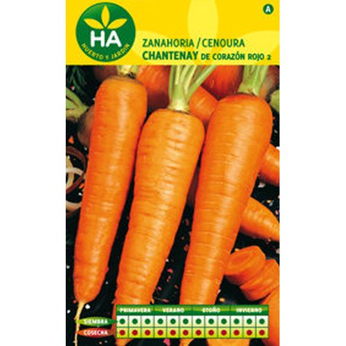 SEMILLAS ZANAHORIA CHANTENAY SOBRE