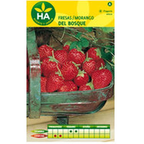 SEMILLAS FRESAS DEL BOSQUE SOBRE