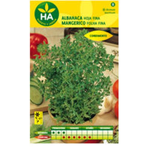 SEMILLAS ALBAHACA HOJA FINA SOBRE