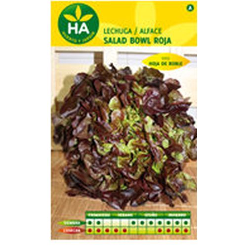 SEMILLAS LECHUGA SALAD BOWL ROJA SOBRE