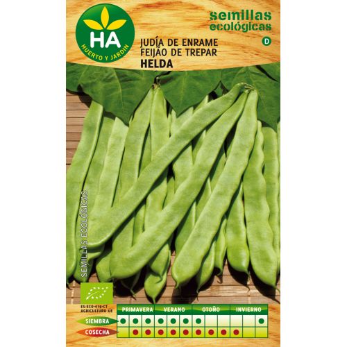 SEMILLAS JUDIA HELDA SOBRE