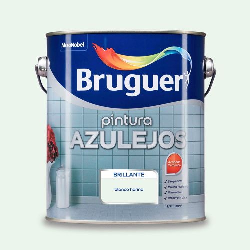 PINTURA BRILLO