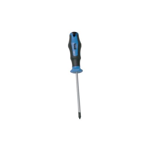 DESTORNILLADOR PUNTA POZIDRIV PZ 1 X 100 MM